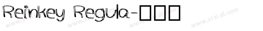 Reinkey Regula字体转换